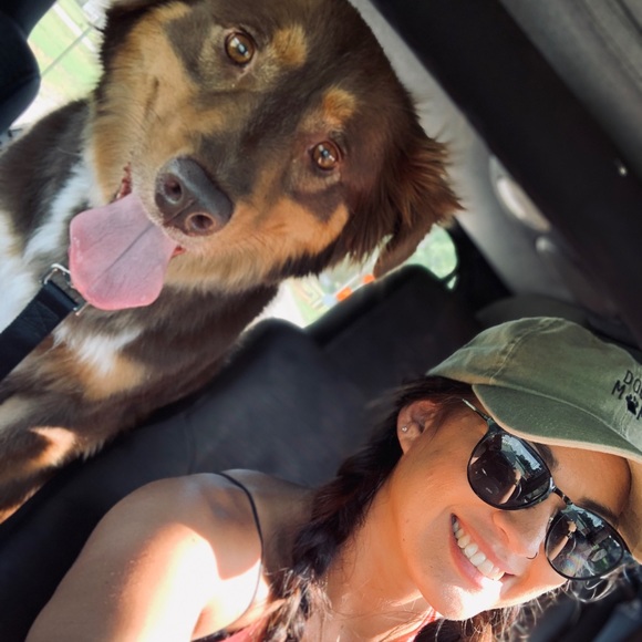 Meet your Posher, Athena - Picture 2 of 4